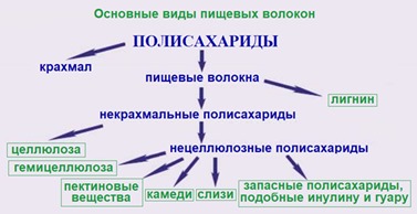 Основные виды пищевых волокон